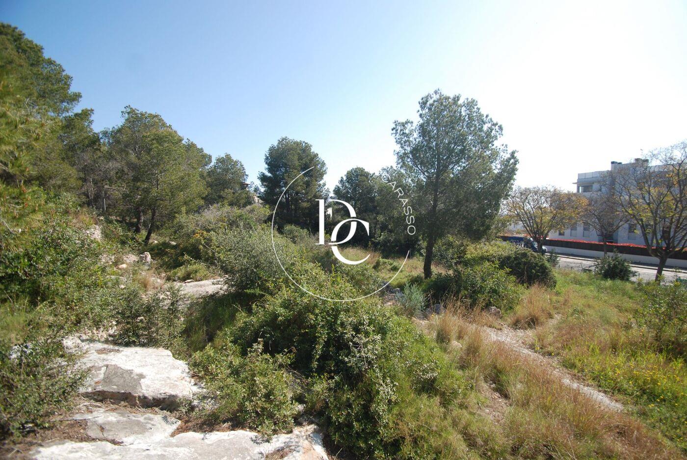 Purchase: Land (08870)
