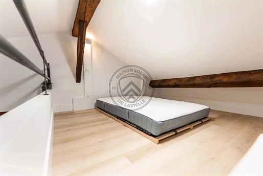 Rare and unique investor program, Toulouse