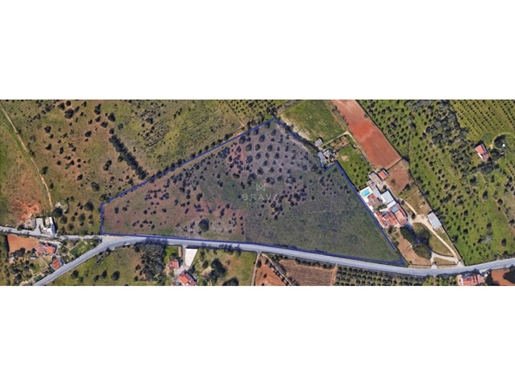 Terreno rústico con 43.570m2 en venta en Carvoeiro