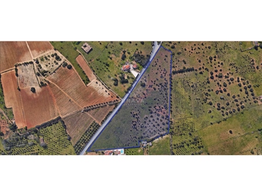 Terrain rustique avec 43.570 m² à vendre à Carvoeiro