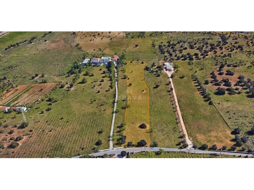 Rustic Land with 9720m2 for sale in Carvoeiro
