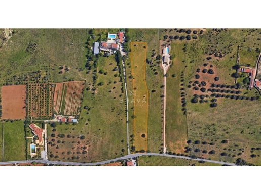 Rustic Land with 9720m2 for sale in Carvoeiro