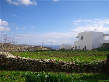 Property with building land in Sikinos