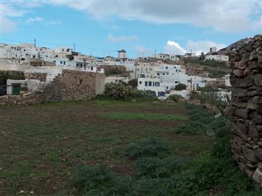 Property with building land in Sikinos