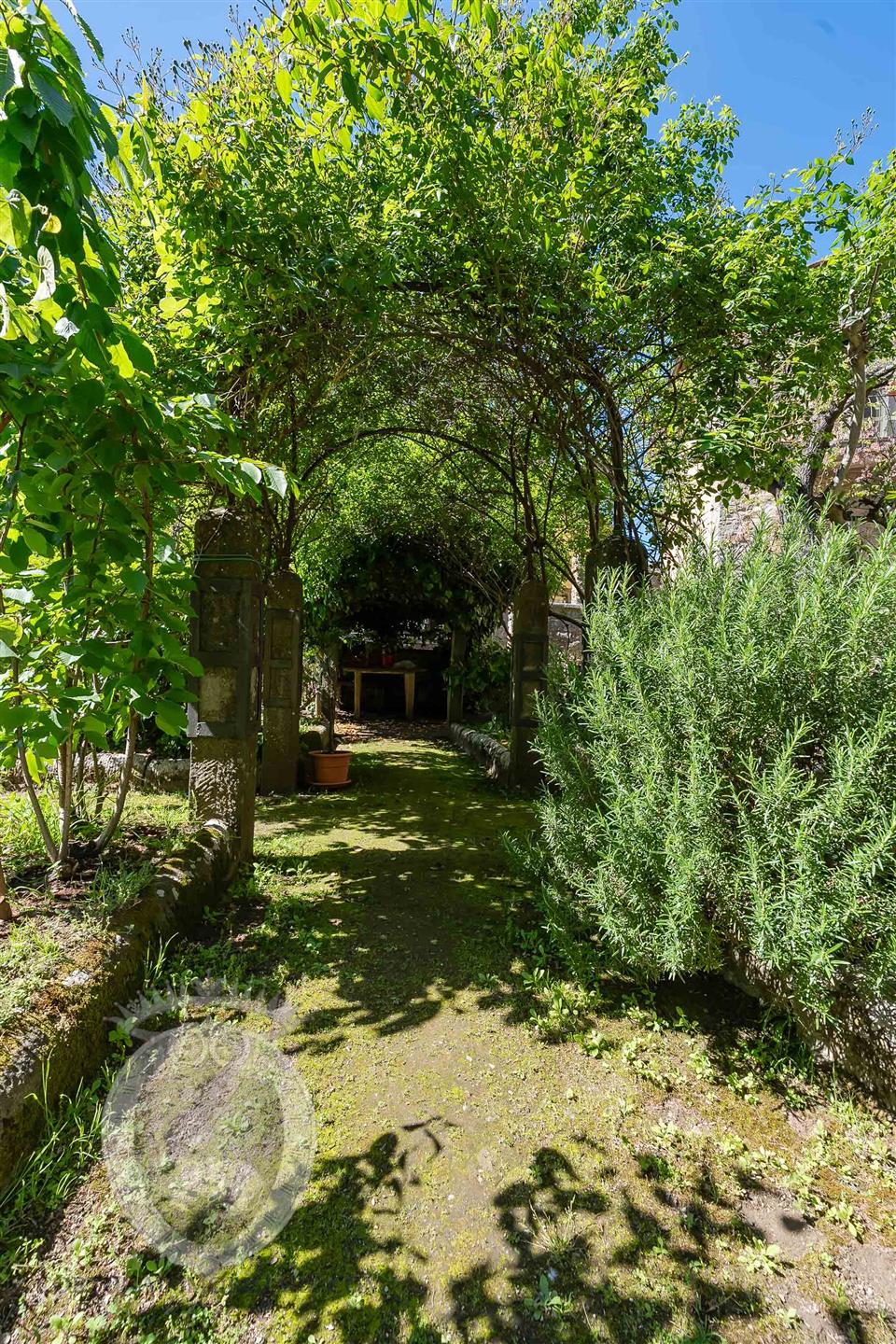 The Secret Garden
