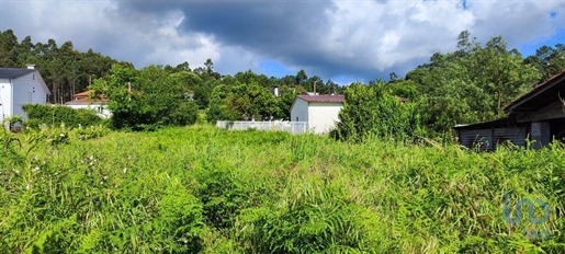 Terra a Valença, Viana do Castelo