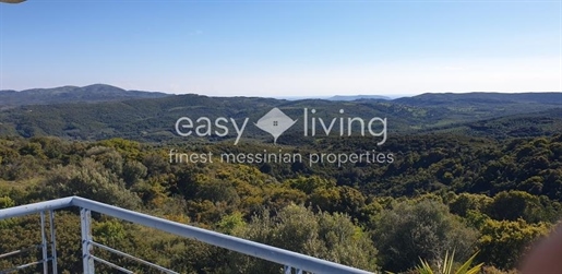 (For Sale) Residential Villa || Messinia/Aipeia - 280 Sq.m, 235.000€