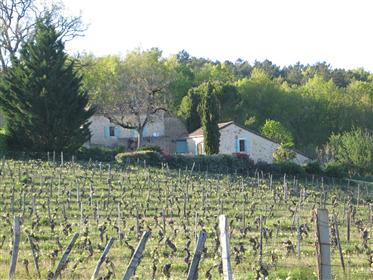 Casa y casa rural rodeada de viñedos 