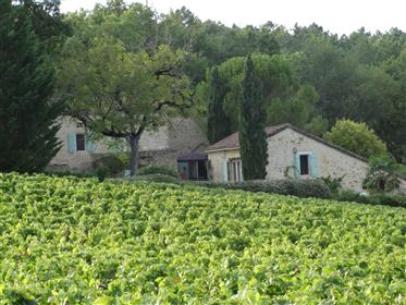 House and gite surrounded by vineyards 