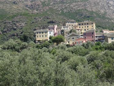 Autentiske mansion i Cap Corse på 5mn fra havet
