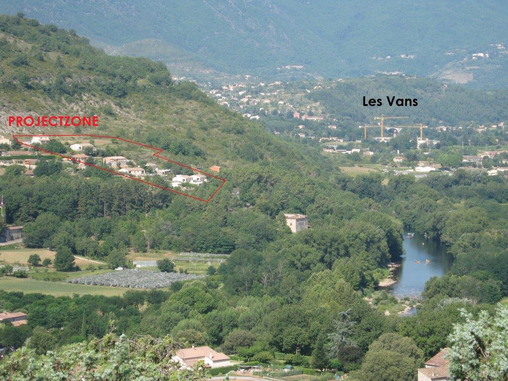 El olivo