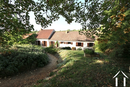 Large house with swimming pool and vineyards view