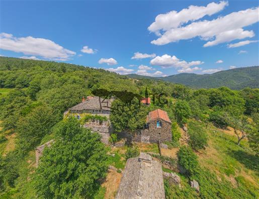 Exceptional Hamlet On 1.5Ha Of Land