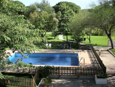 Magnificent Andalusian Villa - Bargain