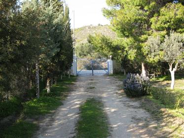 Grekland: Holiday House på översta lagret på dröm mark som gränsar till havet, korintiska viken, So