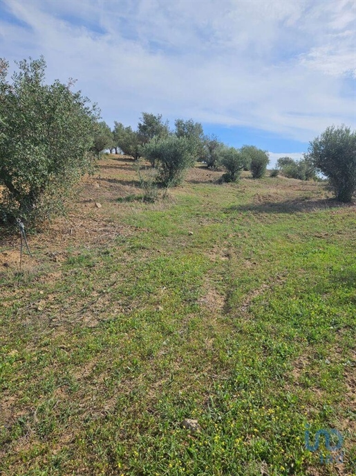 Agricultural Land in Beja with 3125,00 m²