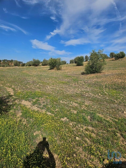 Agricultural Land in Beja with 3125,00 m²