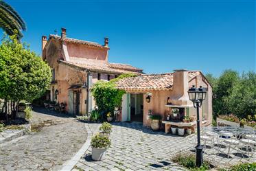 Authentic manor house with sea view and thousand year old olive trees