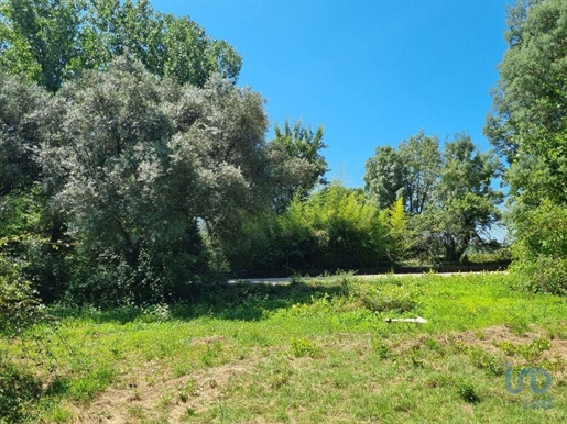 Terrenos de construcción en el Coimbra, Vila Nova de Poiares