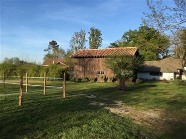 Property in the Landes equipped for horses