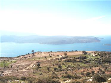 40 hectares à Klima - Samos  