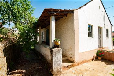 Имот с 1360 м 2, градинарски земя, готови да живеят у дома и си водоснабдяване