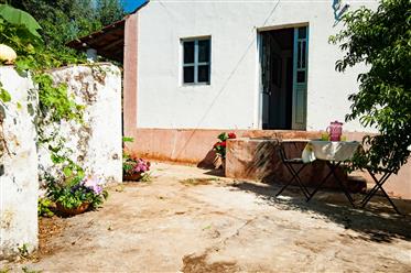 Ejendom med 1360 m 2, gartneri jord, klar til at leve hjem og din vandforsyning