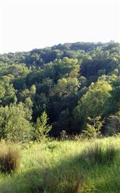 12 hektar af træ klassificeret, prærier, gamle ruin omgivet af 2 stadig aktive vandløb 