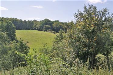 Een 'boerderij' with a view - 27000 m2 of meer.