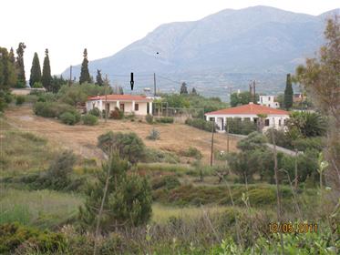 House with1886 sqm plot land 