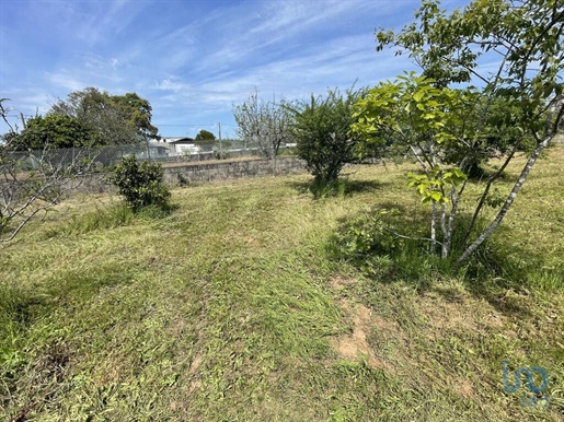 Tierra en el Aveiro, Santa Maria da Feira