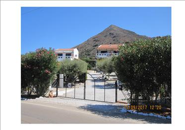 House and Rental Villa For Sale.