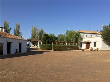 Spectaculoase casa agriculturii şi recreere în Almagro, Ciudad Real