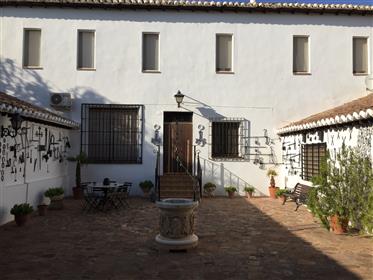 מרהיב הבית חקלאות ובילוי בבית הדודה שלה, Ciudad Real