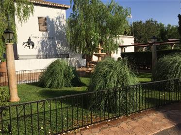 מרהיב הבית חקלאות ובילוי בבית הדודה שלה, Ciudad Real
