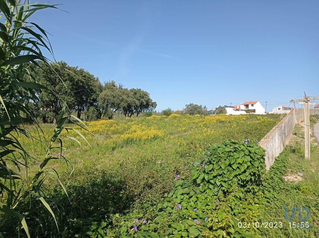 Terrenos de construcción en el Lisboa, Cadaval