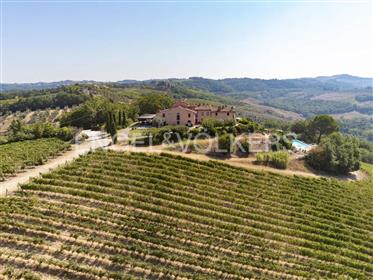 Elegantes Anwesen mit Bio-Weinproduktion in der florentinischen Landschaft 