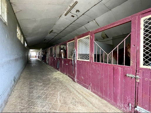 Stud farm / Equestrian centre