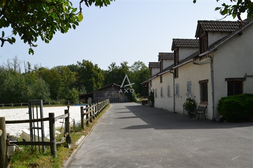 Haras / Equestre