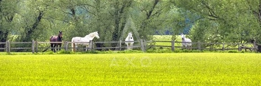 Advert pic 0