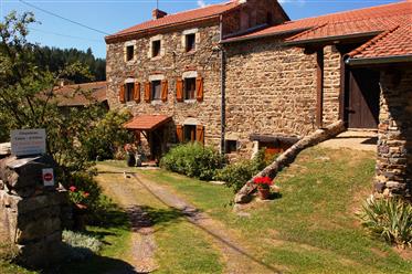 Old stone farmhouse, bed and breakfast with 5 rooms