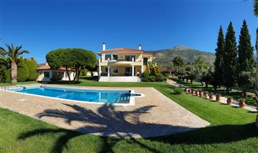 New Price - Spectacular Country Estate near Athens