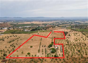 Charmante Alentejo Farm von 4 Hektar mit 3 Häusern