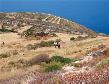 Folegandros - Ano Meria land plot