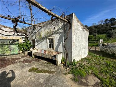 Haus T5 mit Terrasse In Campelos | Vedras Türme