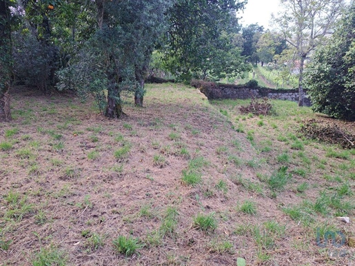 Boden in Ponte de Lima, Viana do Castelo