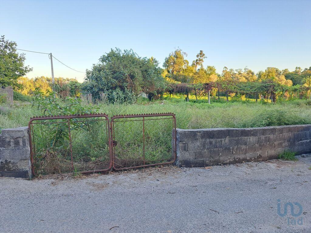 Tierra en el Braga, Vila Verde