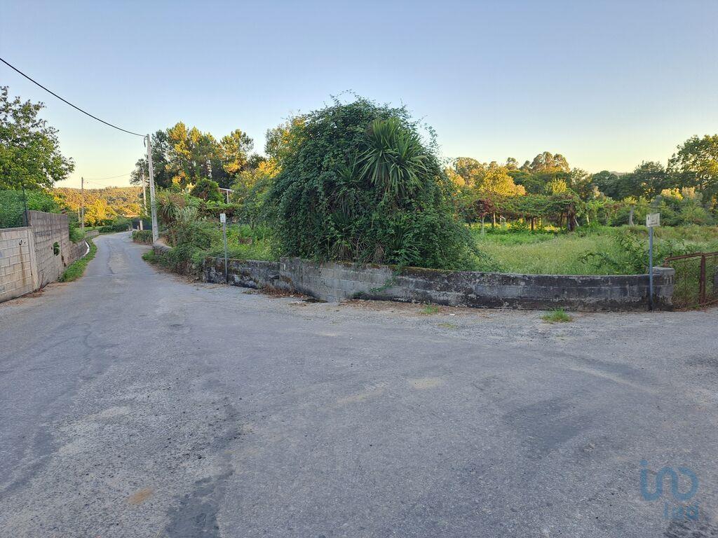 Tierra en el Braga, Vila Verde