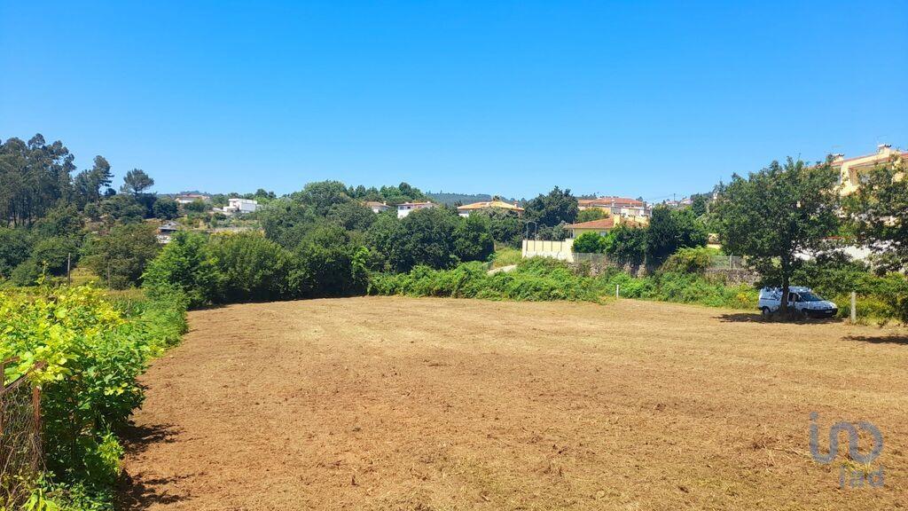 Tierra en el Braga, Vila Verde