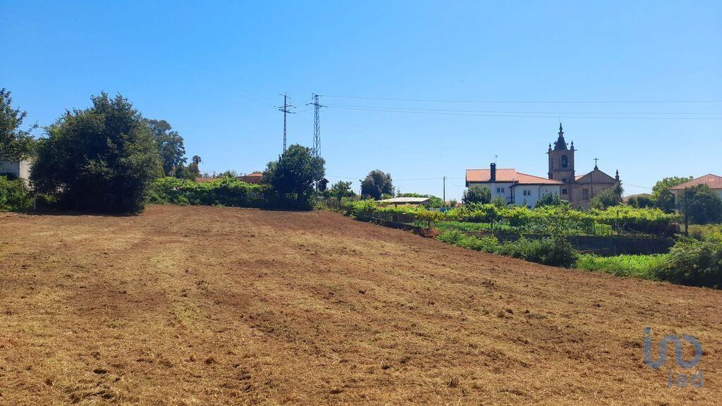 Tierra en el Braga, Vila Verde